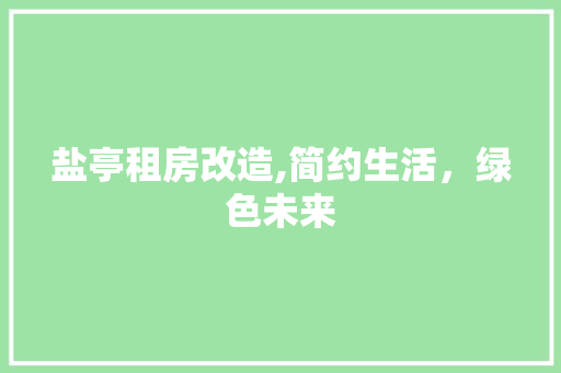 盐亭租房改造,简约生活，绿色未来