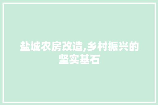 盐城农房改造,乡村振兴的坚实基石