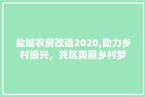 盐城农房改造2020,助力乡村振兴，共筑美丽乡村梦