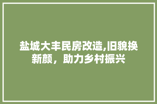 盐城大丰民房改造,旧貌换新颜，助力乡村振兴 综合便民