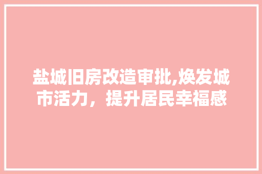 盐城旧房改造审批,焕发城市活力，提升居民幸福感