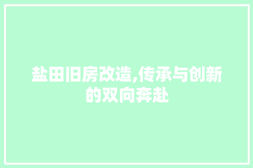 盐田旧房改造,传承与创新的双向奔赴 家电维修