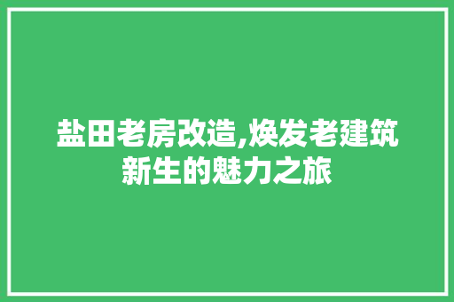 盐田老房改造,焕发老建筑新生的魅力之旅