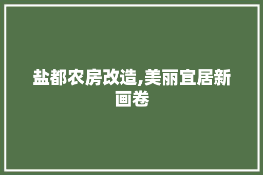 盐都农房改造,美丽宜居新画卷 家电维修