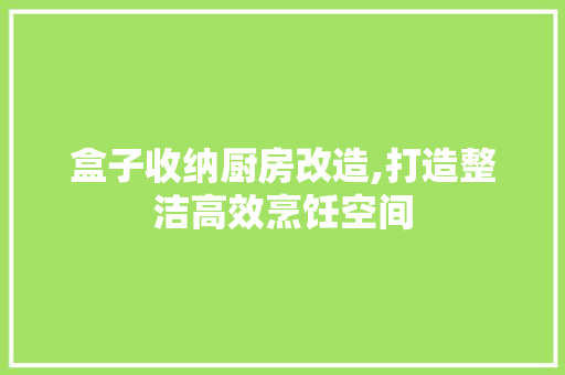 盒子收纳厨房改造,打造整洁高效烹饪空间 综合便民