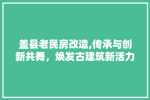 盖县老民房改造,传承与创新共舞，焕发古建筑新活力 墙体维修