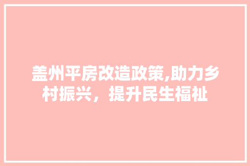 盖州平房改造政策,助力乡村振兴，提升民生福祉