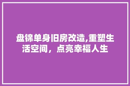 盘锦单身旧房改造,重塑生活空间，点亮幸福人生 墙体维修