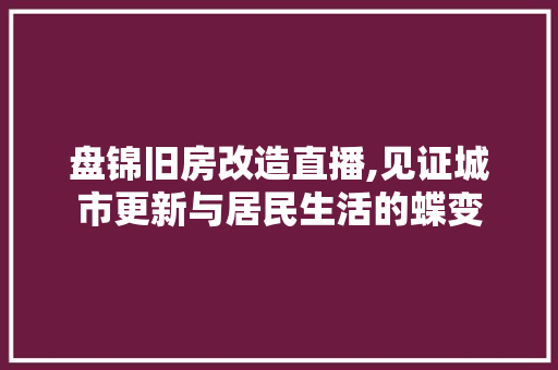 盘锦旧房改造直播,见证城市更新与居民生活的蝶变