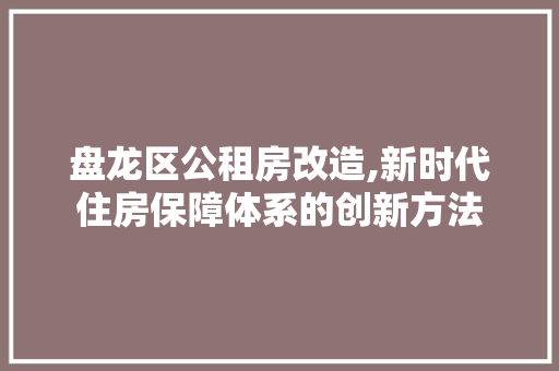 盘龙区公租房改造,新时代住房保障体系的创新方法
