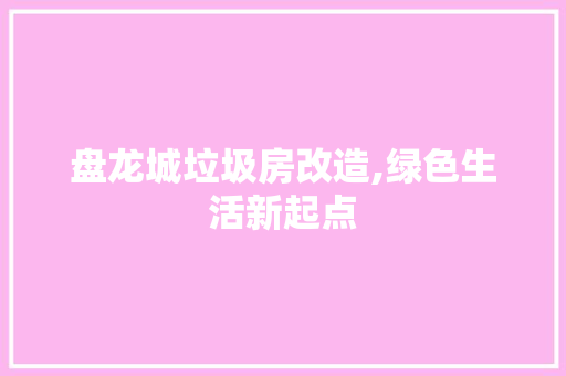 盘龙城垃圾房改造,绿色生活新起点 墙体维修