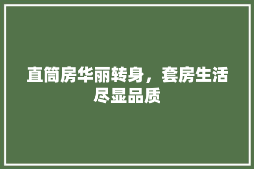 直筒房华丽转身，套房生活尽显品质 家电维修