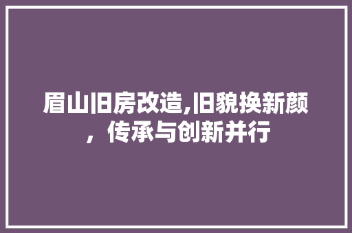 眉山旧房改造,旧貌换新颜，传承与创新并行
