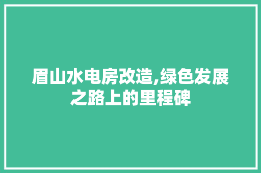 眉山水电房改造,绿色发展之路上的里程碑