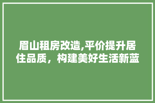 眉山租房改造,平价提升居住品质，构建美好生活新蓝图
