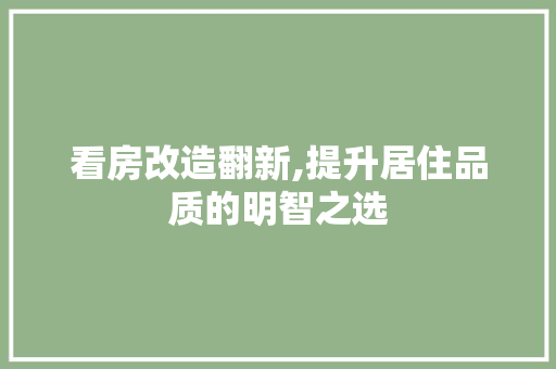 看房改造翻新,提升居住品质的明智之选