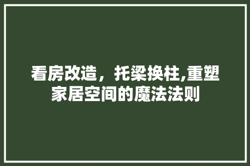 看房改造，托梁换柱,重塑家居空间的魔法法则