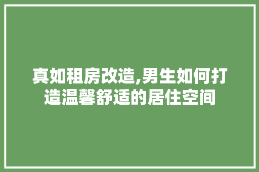 真如租房改造,男生如何打造温馨舒适的居住空间