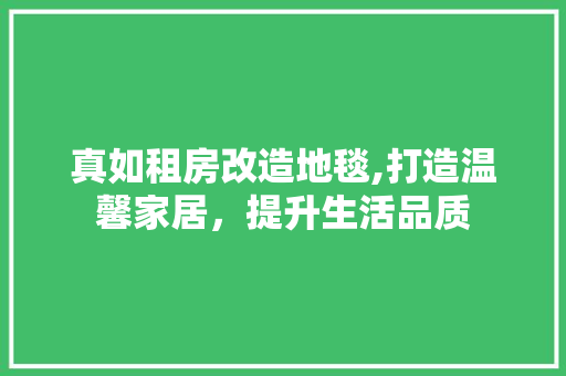 真如租房改造地毯,打造温馨家居，提升生活品质
