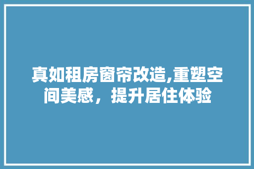 真如租房窗帘改造,重塑空间美感，提升居住体验