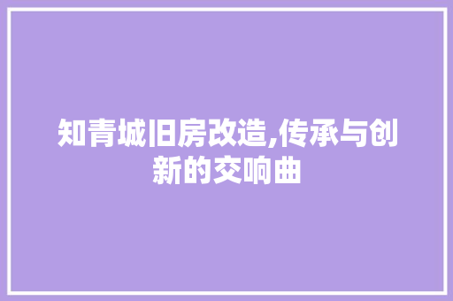 知青城旧房改造,传承与创新的交响曲