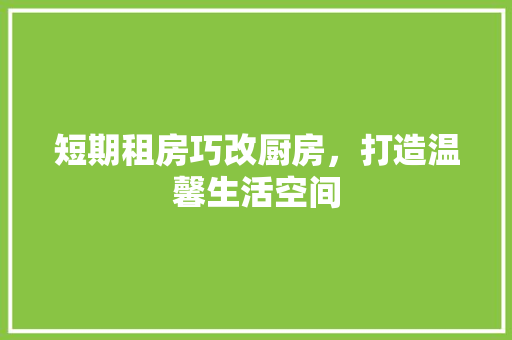 短期租房巧改厨房，打造温馨生活空间 汽车维修