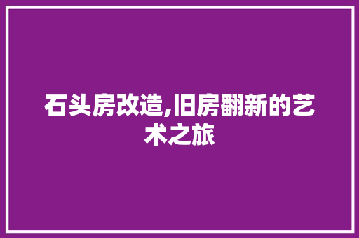 石头房改造,旧房翻新的艺术之旅