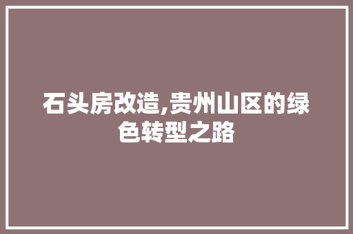 石头房改造,贵州山区的绿色转型之路 综合便民