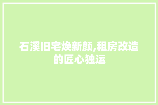 石溪旧宅焕新颜,租房改造的匠心独运 汽车维修
