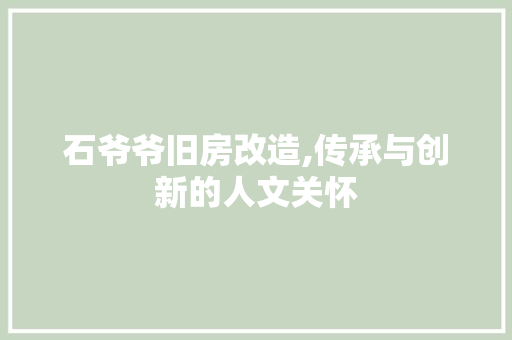 石爷爷旧房改造,传承与创新的人文关怀 墙体维修