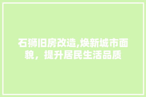石狮旧房改造,焕新城市面貌，提升居民生活品质 墙体维修