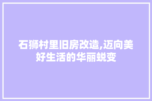 石狮村里旧房改造,迈向美好生活的华丽蜕变