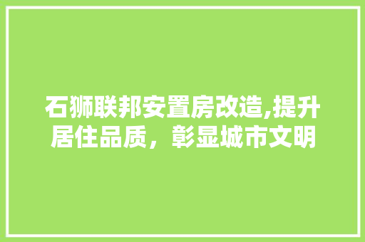 石狮联邦安置房改造,提升居住品质，彰显城市文明 墙体维修