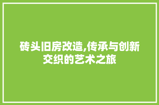 砖头旧房改造,传承与创新交织的艺术之旅