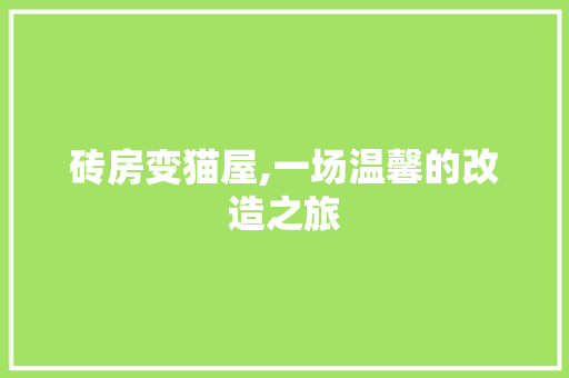 砖房变猫屋,一场温馨的改造之旅