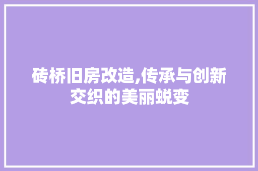 砖桥旧房改造,传承与创新交织的美丽蜕变