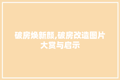破房焕新颜,破房改造图片大赏与启示 厨房维修