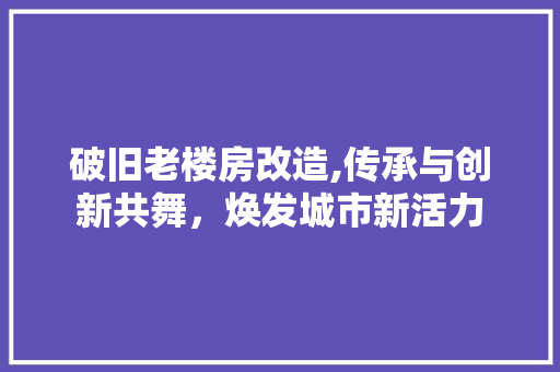 破旧老楼房改造,传承与创新共舞，焕发城市新活力
