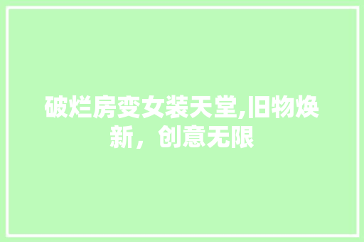 破烂房变女装天堂,旧物焕新，创意无限 墙体维修
