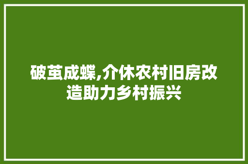 破茧成蝶,介休农村旧房改造助力乡村振兴 厨房维修