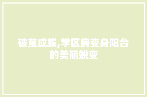 破茧成蝶,学区房变身阳台的美丽蜕变 厨房维修