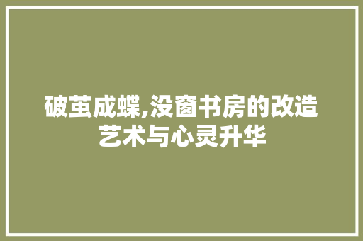 破茧成蝶,没窗书房的改造艺术与心灵升华 墙体维修
