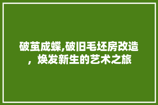 破茧成蝶,破旧毛坯房改造，焕发新生的艺术之旅 家电维修