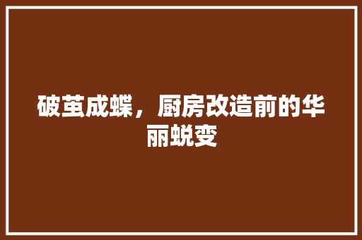 破茧成蝶，厨房改造前的华丽蜕变 汽车维修