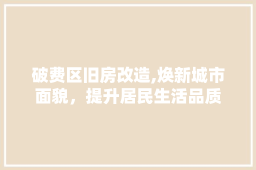 破费区旧房改造,焕新城市面貌，提升居民生活品质