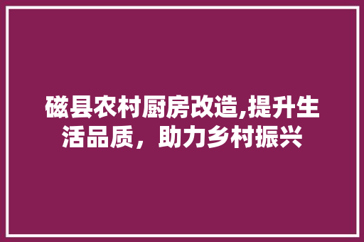 磁县农村厨房改造,提升生活品质，助力乡村振兴