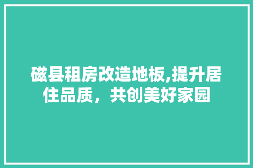 磁县租房改造地板,提升居住品质，共创美好家园