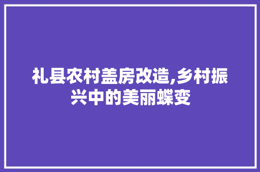 礼县农村盖房改造,乡村振兴中的美丽蝶变 综合便民