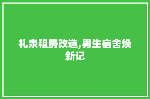 礼泉租房改造,男生宿舍焕新记