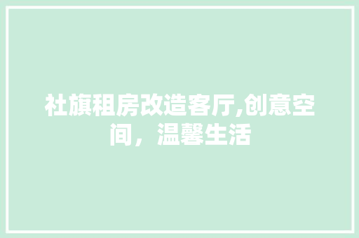 社旗租房改造客厅,创意空间，温馨生活